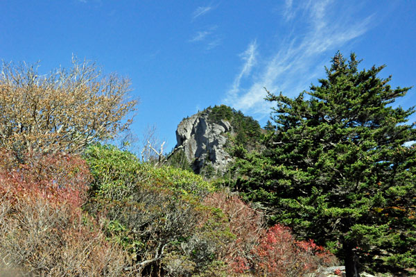 view from picnic area